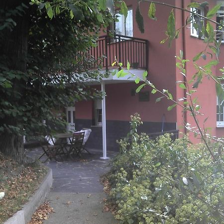 Apartamentos Los Balcones Tineo Eksteriør billede